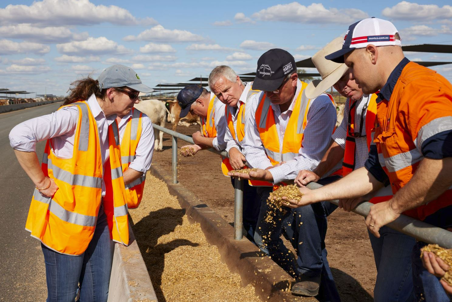 The Coles meat team and Mort & Co Grassdale Manager Marcus Doumany (right) at Mort & Co Grassdale Feedlot, Qld